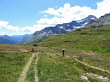 spitz20 052